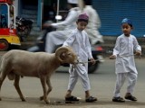 Latest Bakra Eid HD Wallpapers Collection 2012-13