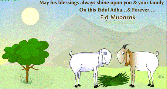 Bakra Eid - Funny Eid ul Azha HD Wallpapers 2013 Collection _ (5)