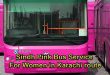 Sindh Pink Bus Service For Women in Karachi route