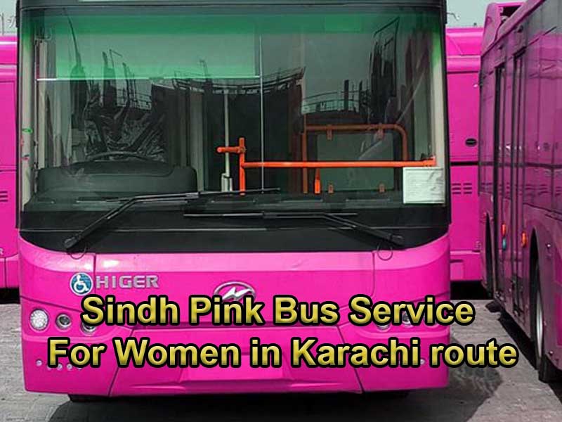 Sindh Pink Bus Service For Women in Karachi route