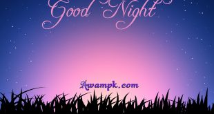 good night sms messeges 2015