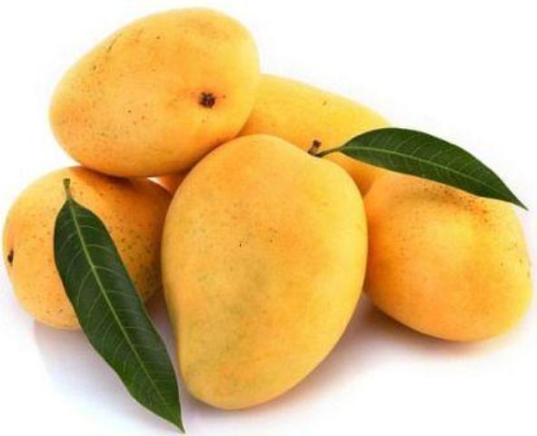  Health benefits of mangoes 