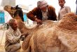 Camel Beauty Palar