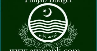 Punjab Budget 2020