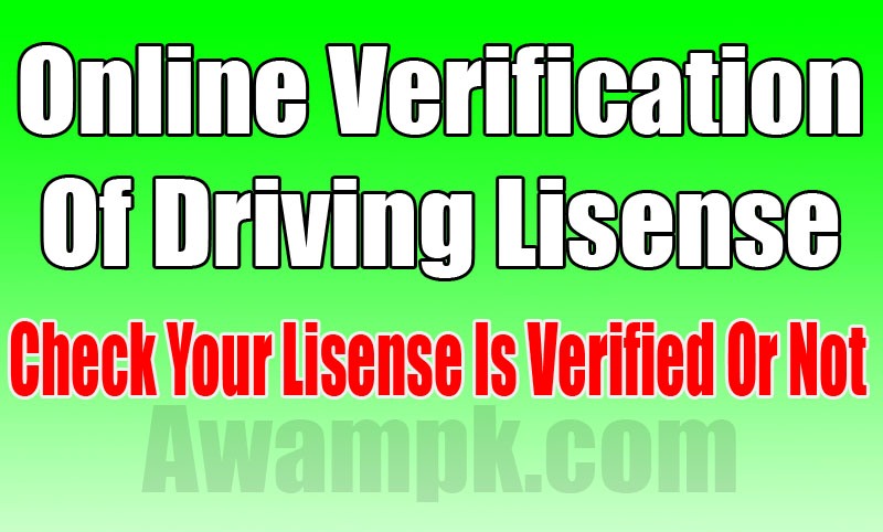 online verification of driving lisense