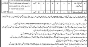 District & Session Judge Office Sheikhupura Jobs 27th April 2022