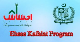 Online apply for Ehsas Kafalat Program