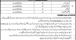 UNIVERSITY OF SUFISM AND MODERN SCIENCES (USMS) BHITSHAH JOBS 2021