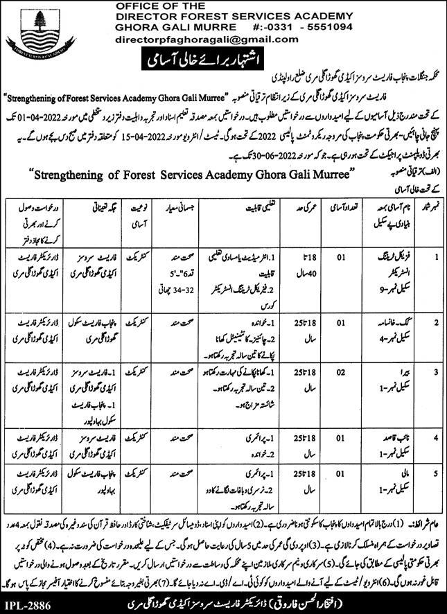 DIRECTOR FOREST SERVICES ACADEMY JOBS 2022