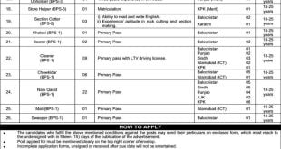 Geological Survey of Pakistan Jobs 2022 Application Form