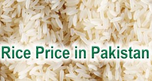 Rice Price in Pakistan June 2023