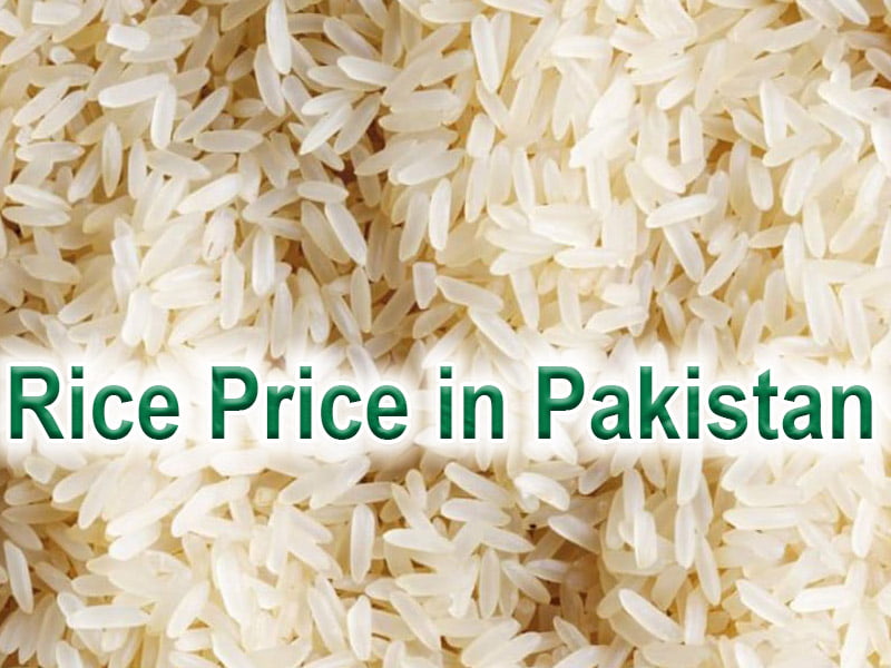 Rice Price in Pakistan June 2023