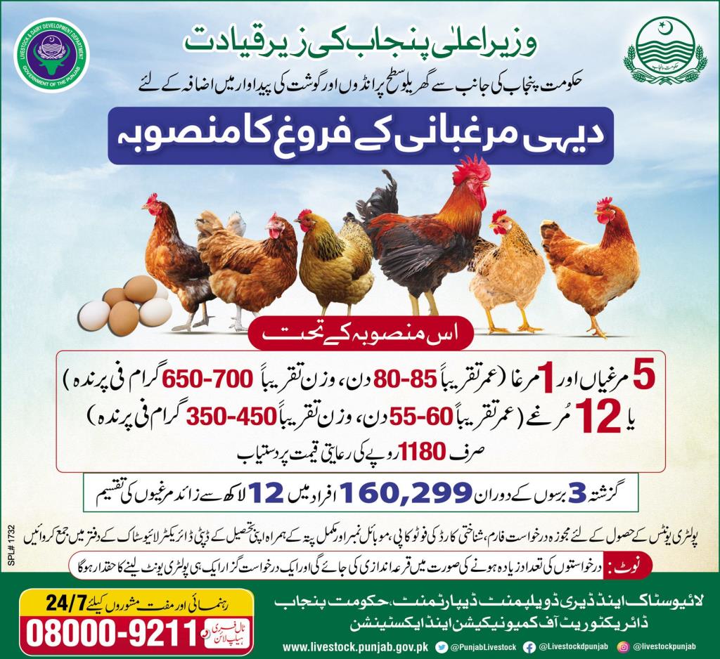 CM Punjab Poultry Unit Scheme Lucky Draw Result 2023