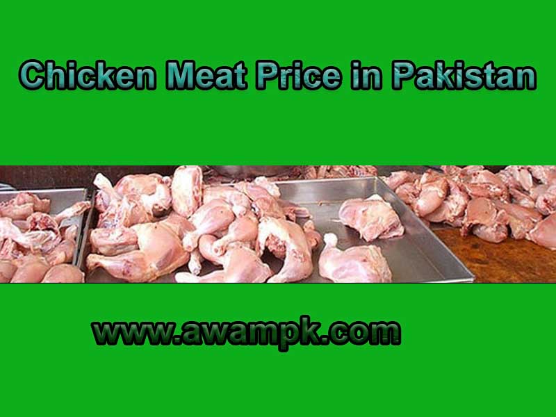Chicken Meat Price in Pakistan January 2023