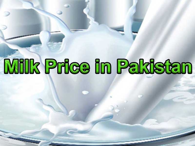 Milk Price in Pakistan February 2023