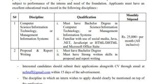 NEF Internship 2023 Application Form