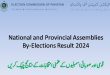 ECP National and Provincial Assemblies By-Elections Result 2024
