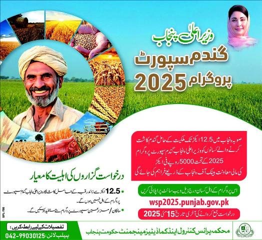 CM Punjab Wheat Support Program 2025: Apply Online, Eligibility, and Benefits